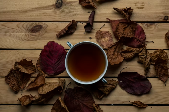 Martyrdom is the last resort, dried fall leaves surrounding a tea rue potion